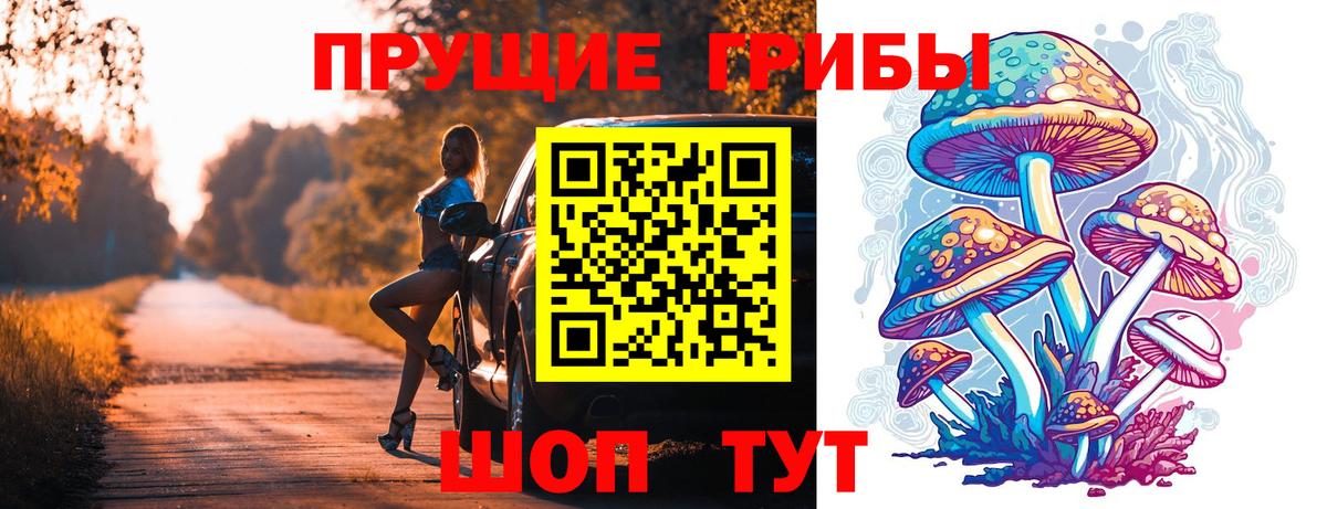 Псилоцибиновые грибы Psilocybe  Псилоцибиновые грибы мицелий  цена   Бор  Вход с VPN 