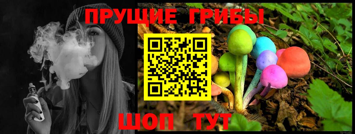 Псилоцибиновые грибы ЛСД Бор